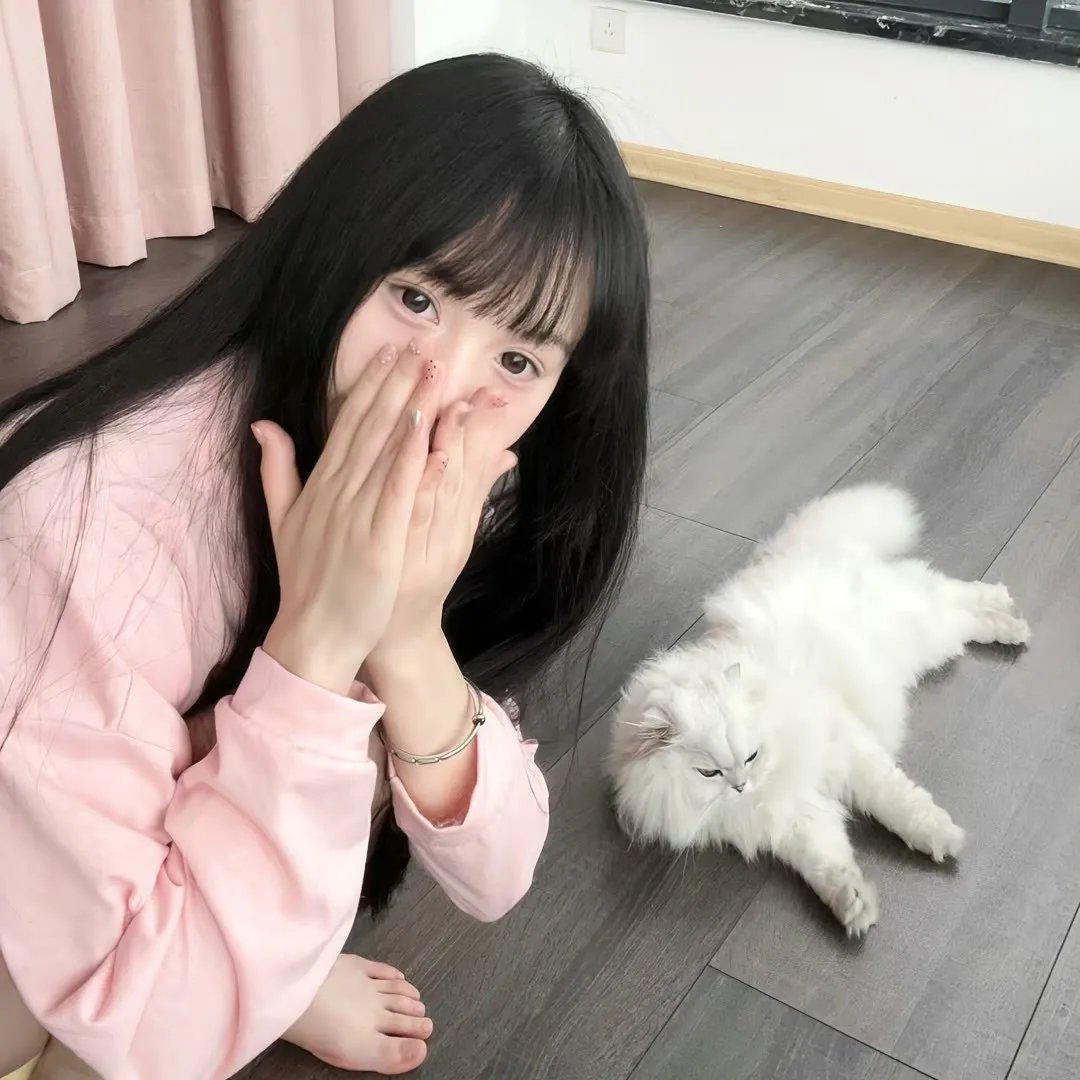 犯罪记录